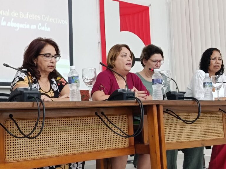 Sistema que brinda una mayor organización e impulsa hacia la digitalización de los procesos